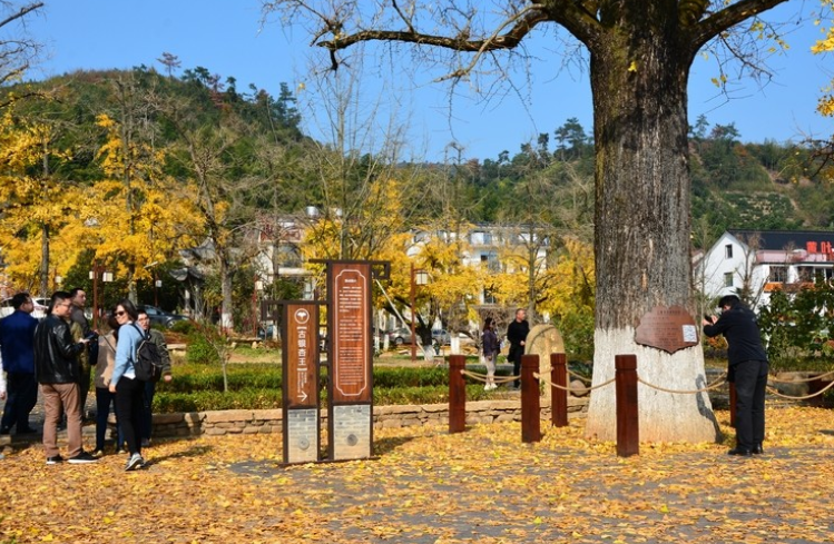 上海郊区人少的景点