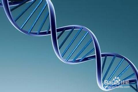 怎么做才能降血压