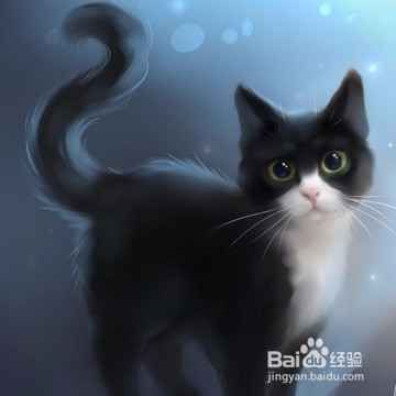 猫叫春，如何用按摩来帮它缓解