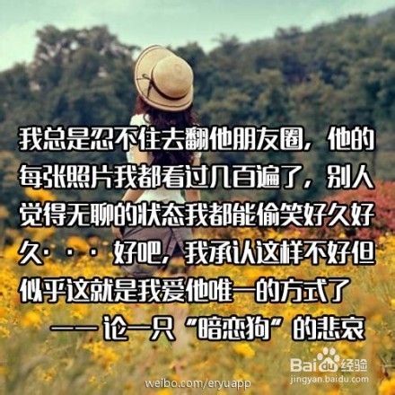 如何使用耳语whisper App