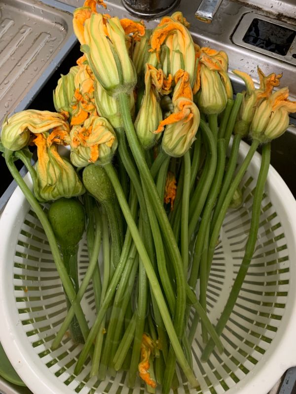 清甜上汤南瓜花