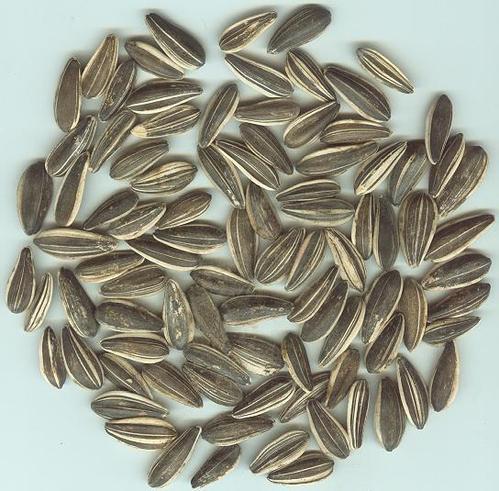 怎样通过食物调节睡眠