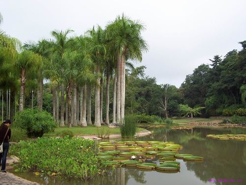 怎样云南旅游更开心