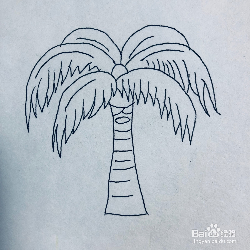 怎么绘画一棵简单的椰子树