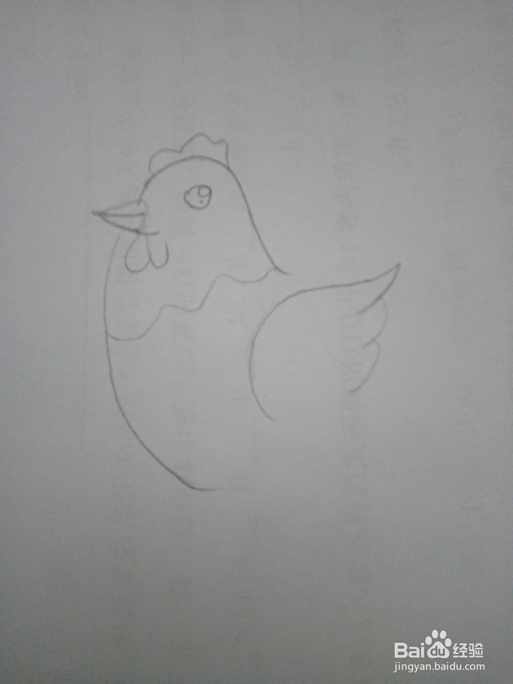 简笔画老母鸡下蛋的画法
