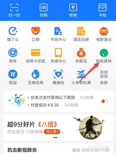 支付宝蚂蚁森林四周年勋章怎么装扮