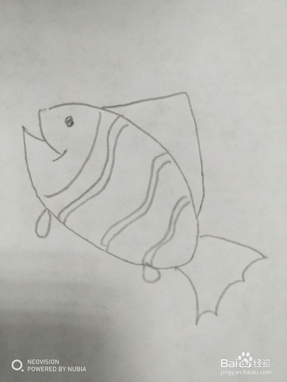 简单的小鱼怎么画（十）