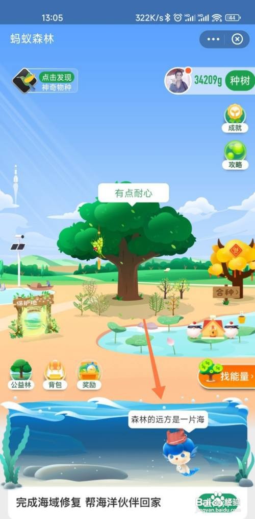 支付宝如何进入蚂蚁森林的海洋