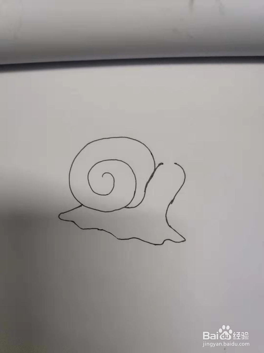 蜗牛的简笔画