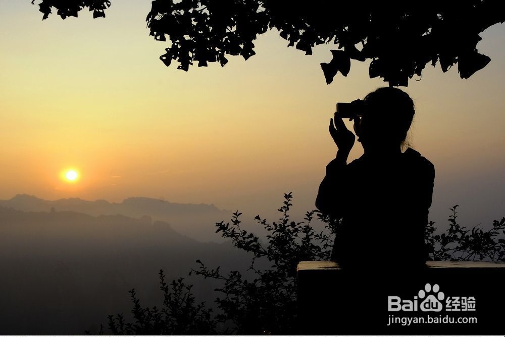 张家界旅游报团