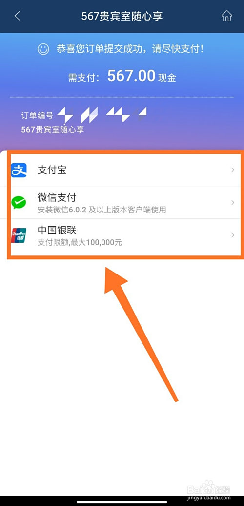 进入支付界面,选择支付方式进行付款.