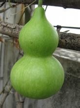 高血压食疗菜谱