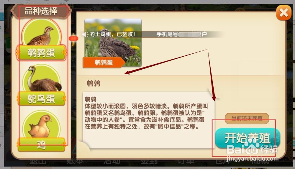 进入一乙农场领取新人奖励鸡蛋与养殖10只鹌鹑