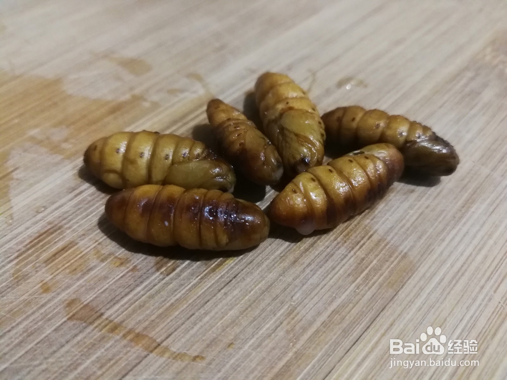 蜂蛹的功效与作用