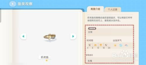 心动小镇怎么才能钓虾虎鱼