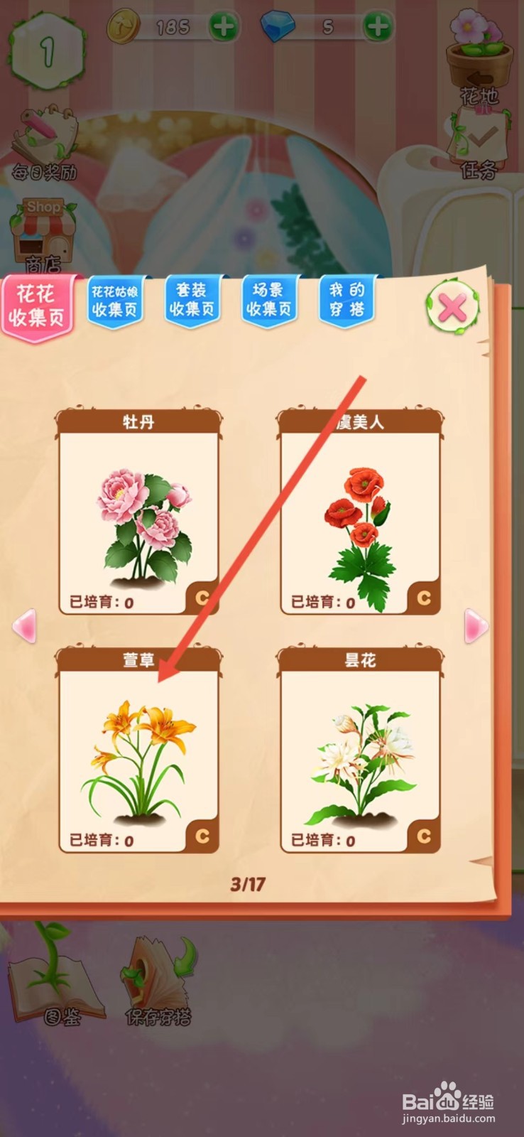 花花姑娘如何查看萱草的【生长速度】