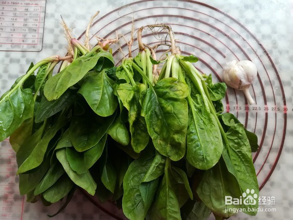 怎么做蒜蓉菠菜