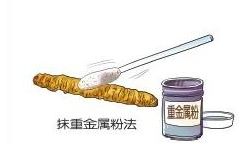 冬虫夏草回收多少钱一克合理 冬虫夏草的价格