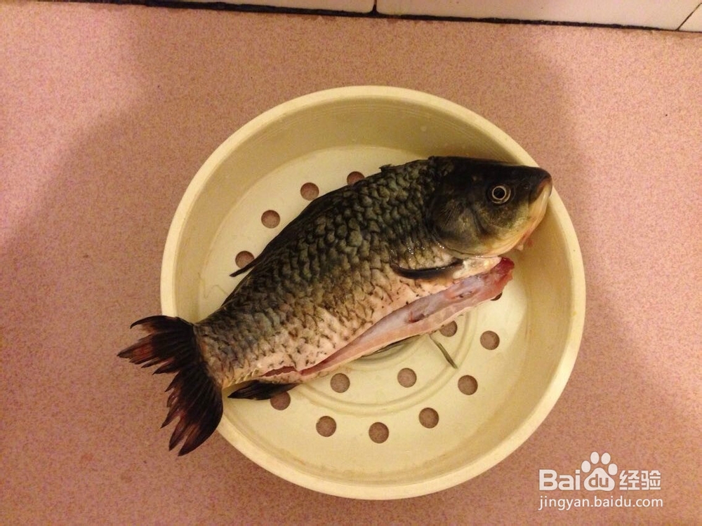 菜鸟都可以完成的鲜甜浓汤:萝卜丝鲫鱼汤