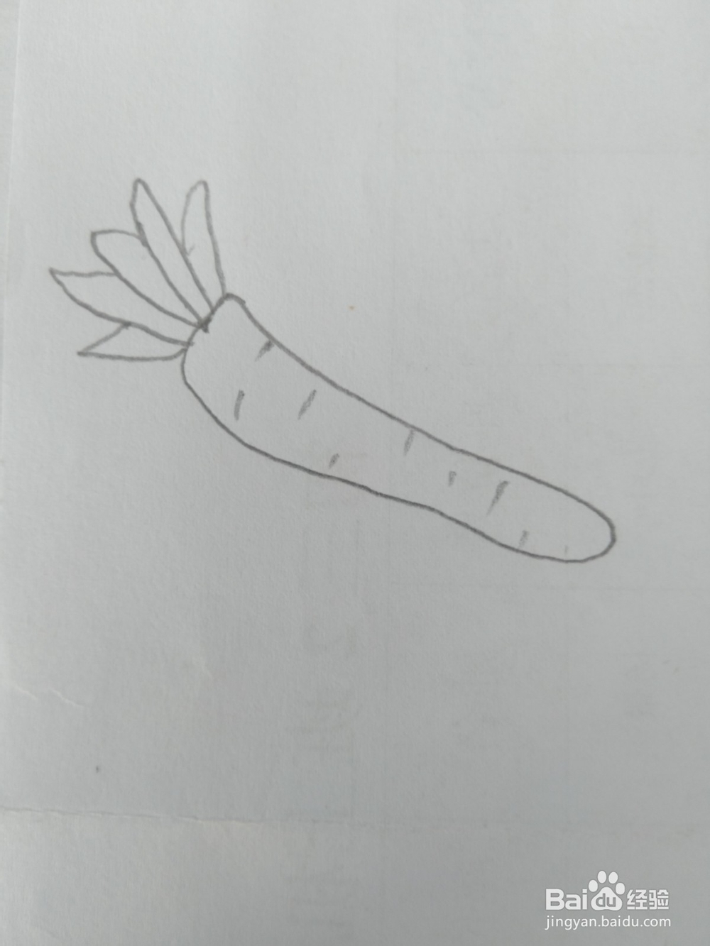 简笔画胡萝卜画法三