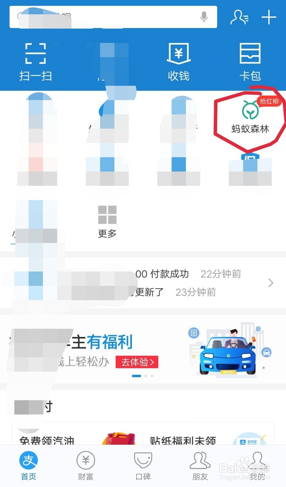 红柳在蚂蚁森林如何种植
