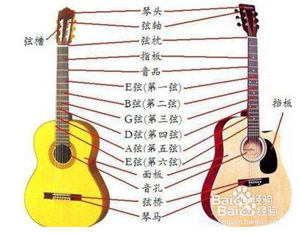 mine泰勒吉他教程