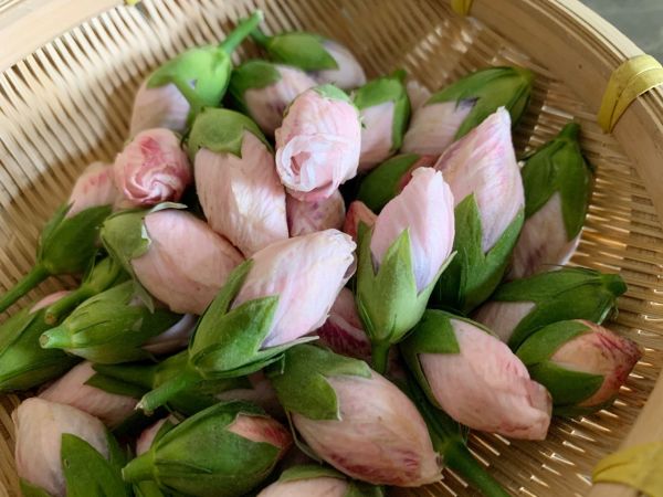 木槿花薄荷炒蛋