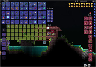 泰拉瑞亚1.2.4.1肉前后攻略