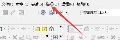 WinSCP在后台传输中如何开启队列处理功能