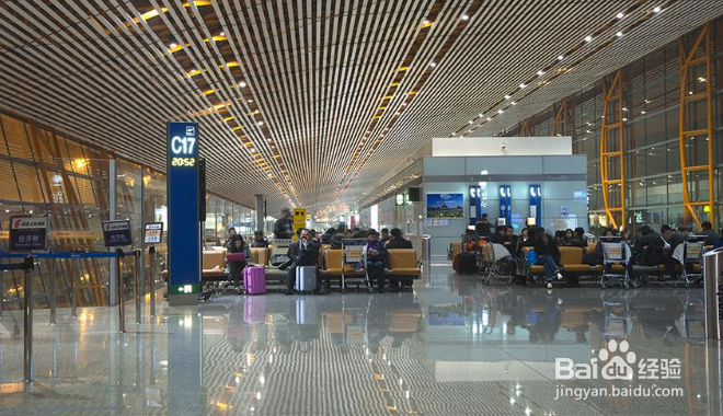 沈阳到青岛飞机怎么坐?