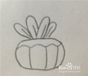 怎么画一个南瓜形的盆栽简笔画