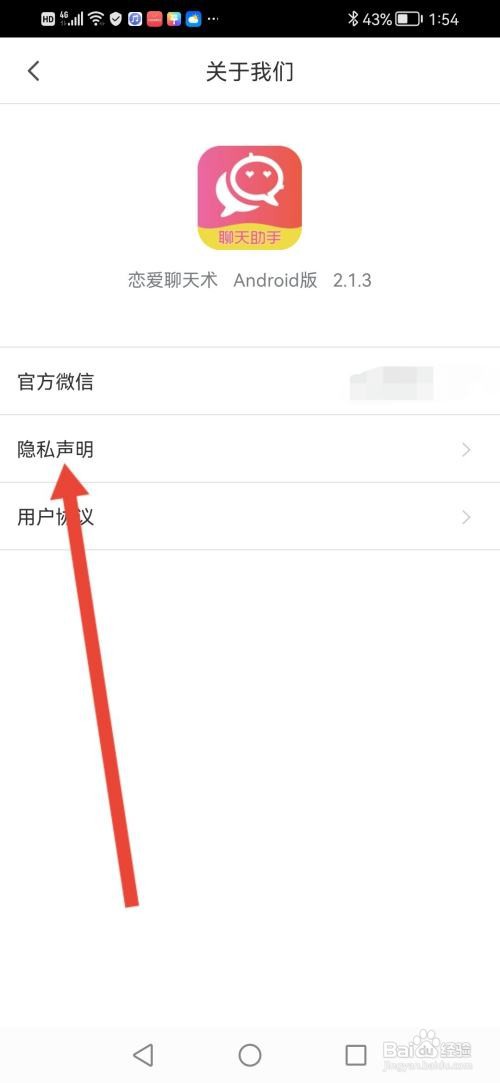 恋爱聊天术怎么查看隐私声明