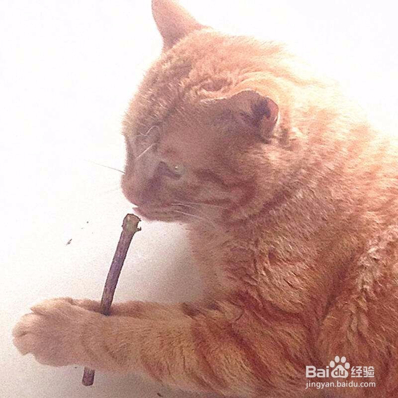 去网吧上网带什么东西好？