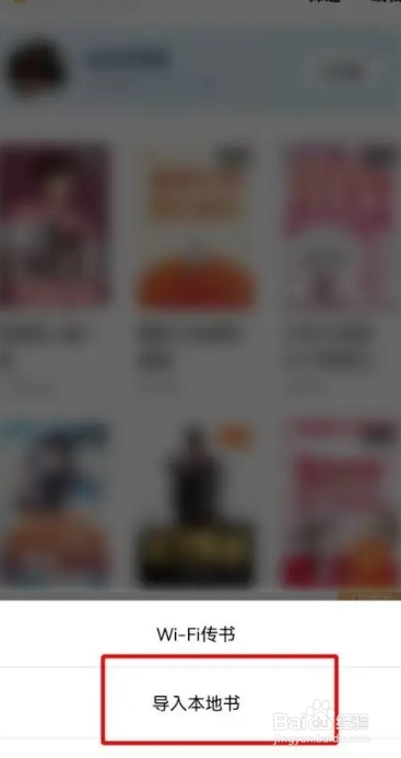 番茄小说如何导入本地图书