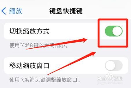 iphone如何激活切换缩放方式