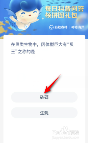神奇海洋在贝类生物中因体型巨大有贝王之称的是