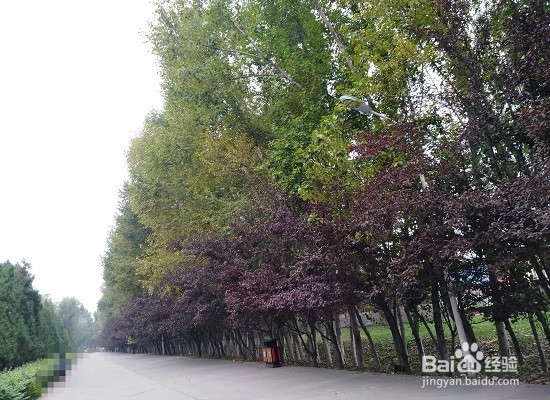 【校园指南】山西医科大学汾阳学院勤工俭学攻略