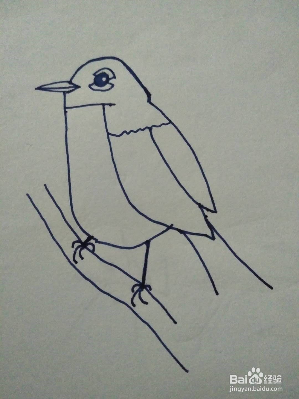 小鸟的简笔画怎么画？