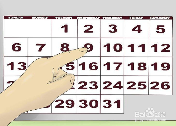 如何管理你的养兔场