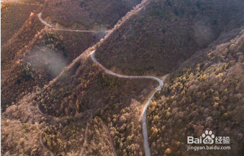 秦岭一半的美都在这里,11月这里堪称最美公路。