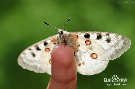 八种方式让你剩下的2013更精彩