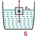 初中物理：从零开始之浮力（一）：[1]力学专题