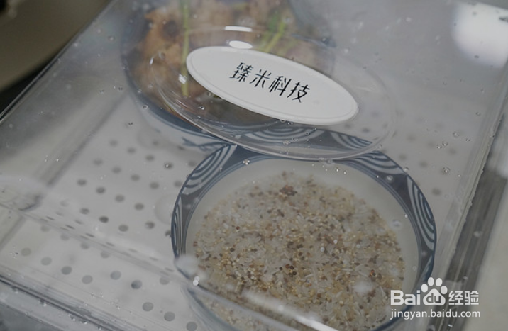 香菇菜蒸排骨