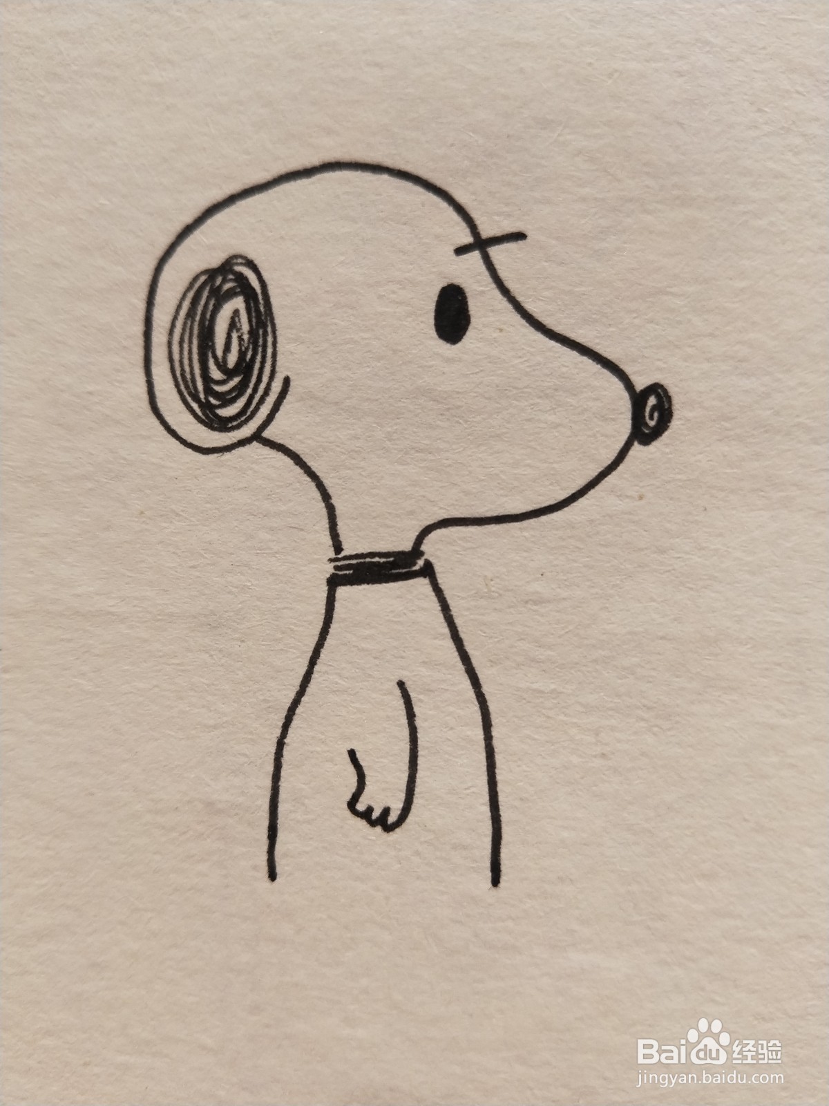 怎样画简笔画——史努比