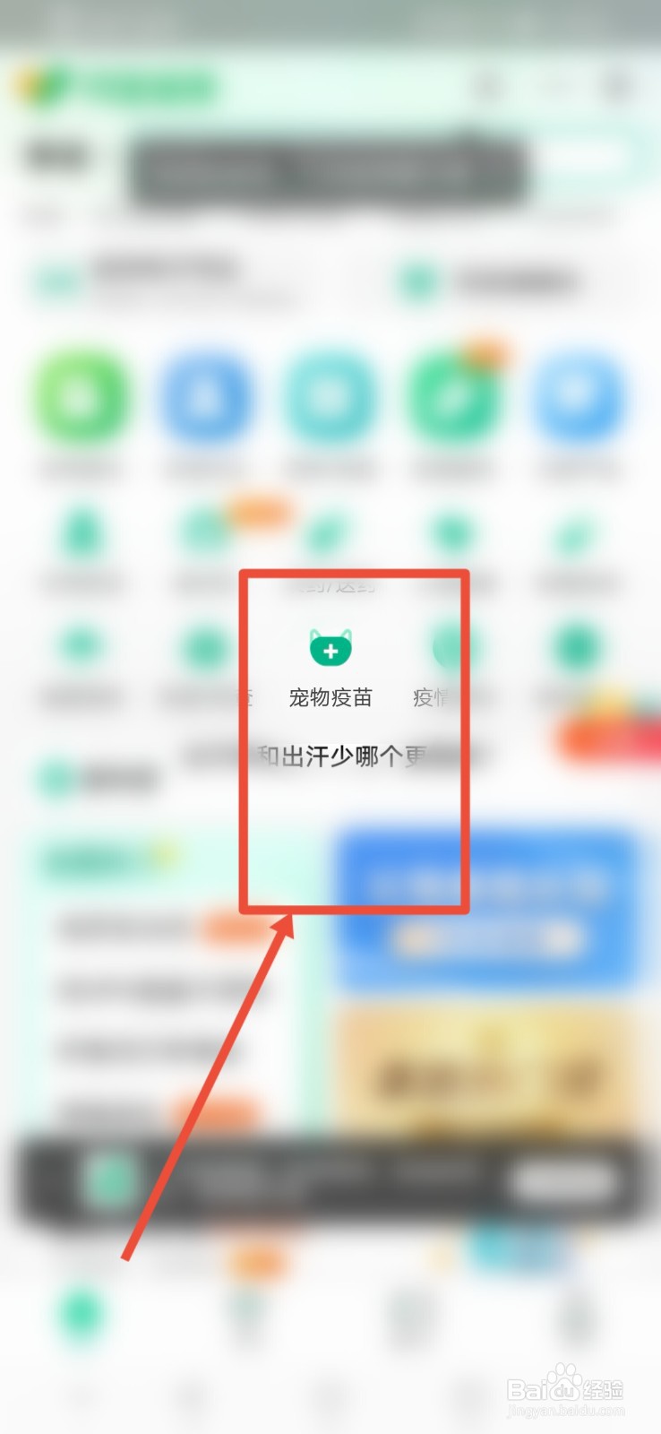 支付宝怎么查询宠物疫苗
