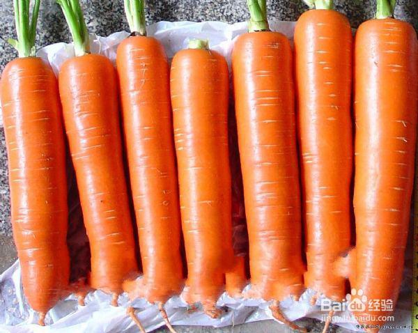 胡萝卜的挑选方法,营养师教你烹饪胡萝卜