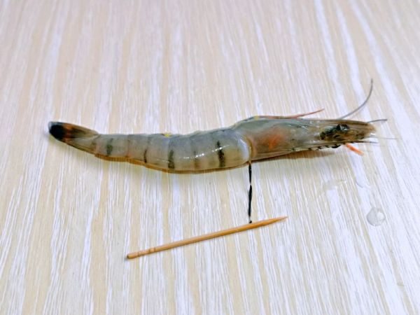 柠香热气蒸海鲜