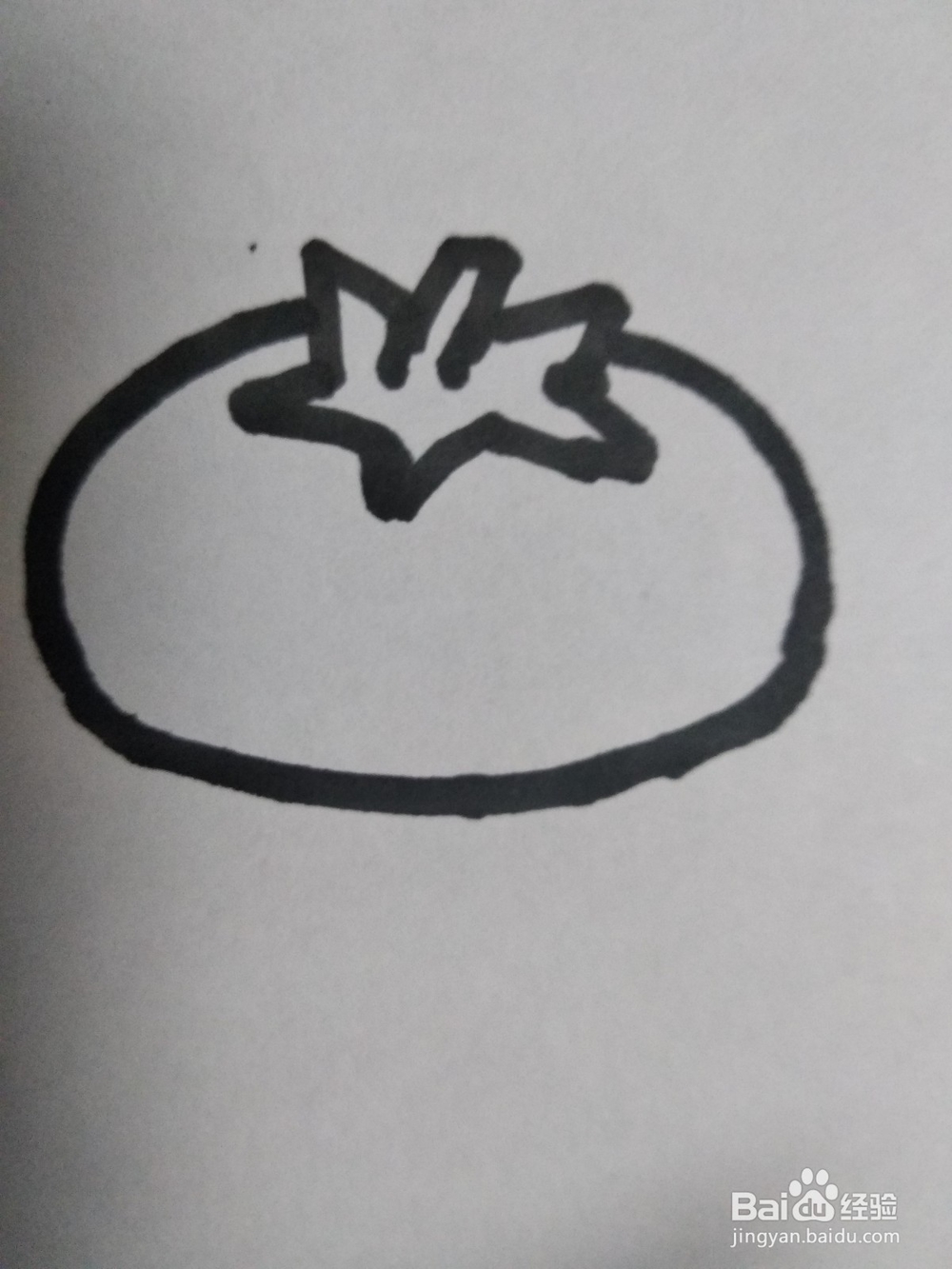 柿子简笔画怎么画?