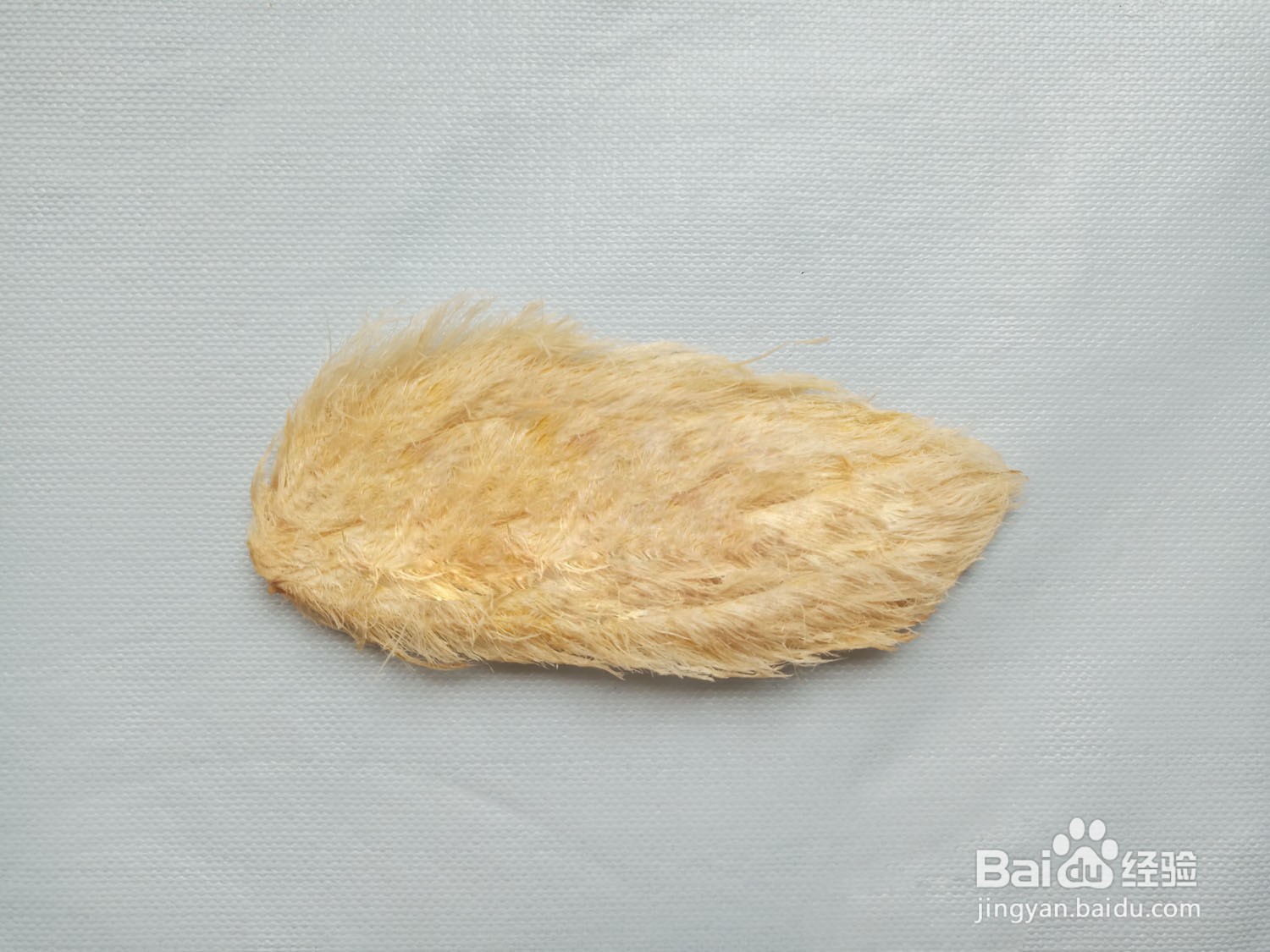 芒果核发夹的做法