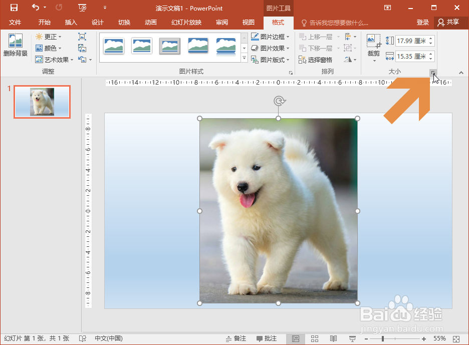 PowerPoint2016缩放图片时怎么让图片不变形